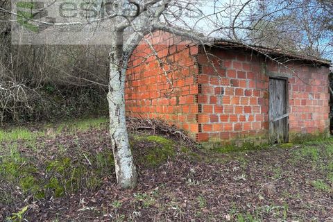 Tomt i Fundao, Castelo Branco, Fundao - € 33 000 | Ref: 5738/CP - foto 4