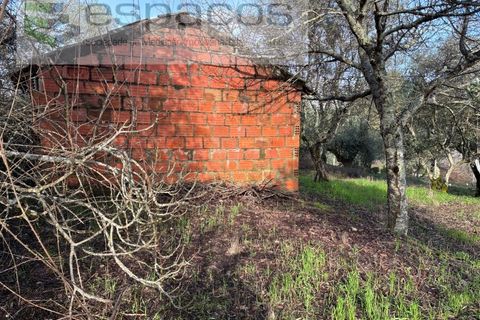 Tomt i Fundao, Castelo Branco, Fundao - € 33 000 | Ref: 5738/CP - foto 5