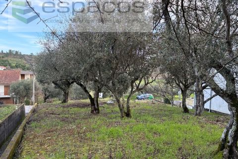 Tomt i Fundao, Castelo Branco, Fundao - € 33 000 | Ref: 5738/CP - foto 6