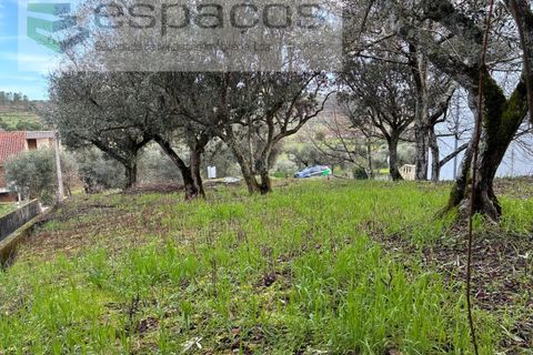 Tomt i Fundao, Castelo Branco, Fundao - € 33 000 | Ref: 5738/CP - foto 7