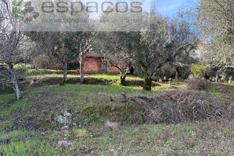 Tomt i Fundao, Castelo Branco, Fundao - € 33 000 | Ref: 5738/CP - foto 8
