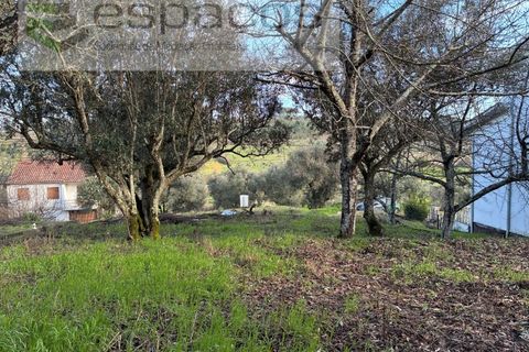 Tomt i Fundao, Castelo Branco, Fundao - € 33 000 | Ref: 5738/CP - foto 9
