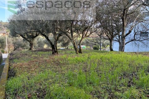 Tomt i Fundao, Castelo Branco, Fundao - € 33 000 | Ref: 5738/CP - foto 10