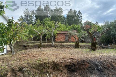Tomt i Fundao, Castelo Branco, Fundao - € 33 000 | Ref: 5738/CP - foto 12