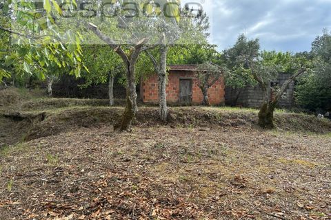 Tomt i Fundao, Castelo Branco, Fundao - € 33 000 | Ref: 5738/CP - foto 13