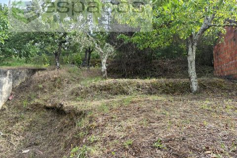 Tomt i Fundao, Castelo Branco, Fundao - € 33 000 | Ref: 5738/CP - foto 15