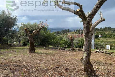 Tomt i Fundao, Castelo Branco, Fundao - € 33 000 | Ref: 5738/CP - foto 16