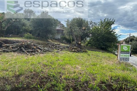 Tomt i Fundao, Castelo Branco, Fundao - € 33 000 | Ref: 5738/CP - foto 17