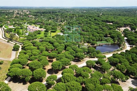 Tomt i Santarem, Santarem, Santarem - € 463 000 | Ref: 119350 - foto 4