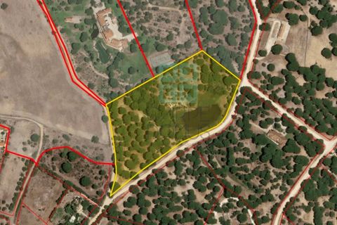 Tomt i Santarem, Santarem, Santarem - € 463 000 | Ref: 119350 - foto 2