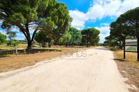 Tomt i Santarem, Santarem, Santarem - € 463 000 | Ref: 119350 - foto 9