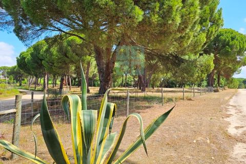 Tomt i Santarem, Santarem, Santarem - € 463 000 | Ref: 119350 - foto 11
