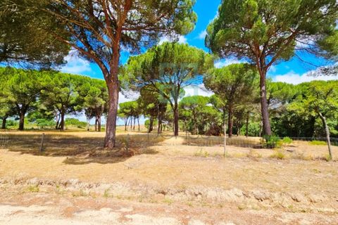 Tomt i Santarem, Santarem, Santarem - € 463 000 | Ref: 119350 - foto 13