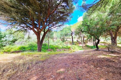 Tomt i Santarem, Santarem, Santarem - € 463 000 | Ref: 119350 - foto 16