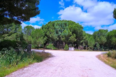 Tomt i Santarem, Santarem, Santarem - € 463 000 | Ref: 119350 - foto 20