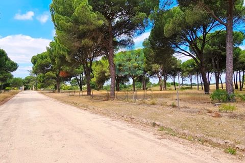 Tomt i Santarem, Santarem, Santarem - € 463 000 | Ref: 119350 - foto 21