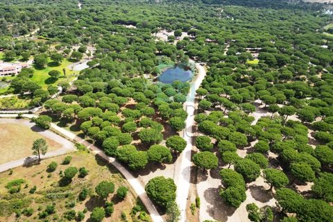 Tomt i Santarem, Santarem, Santarem - € 463 000 | Ref: 119350 - foto 28