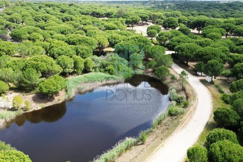 Tomt i Santarem, Santarem, Santarem - € 463 000 | Ref: 119350 - foto 29