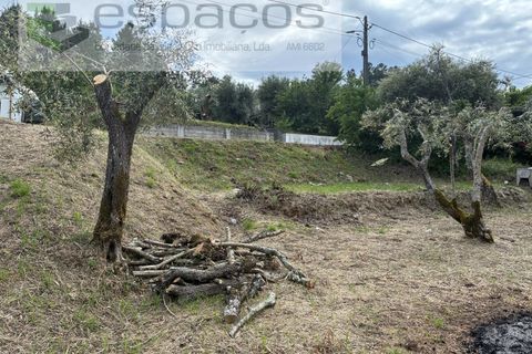 Tomt i Fundao, Castelo Branco, Fundao - € 33 000 | Ref: 5740/CP - foto 4
