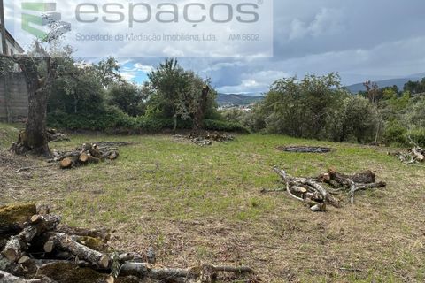 Tomt i Fundao, Castelo Branco, Fundao - € 33 000 | Ref: 5740/CP - foto 5