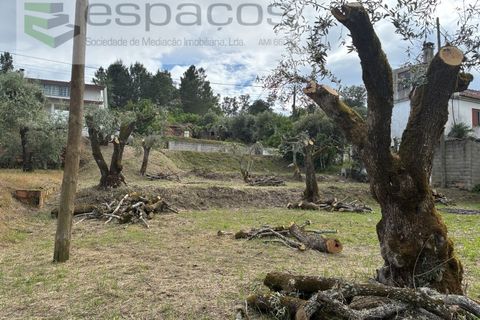 Tomt i Fundao, Castelo Branco, Fundao - € 33 000 | Ref: 5740/CP - foto 6