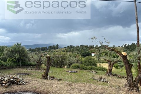 Tomt i Fundao, Castelo Branco, Fundao - € 33 000 | Ref: 5740/CP - foto 8