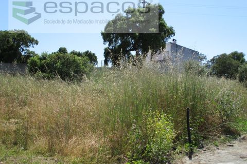Helårsgrund i Escalos de Cima e Lousa, Castelo Branco, Escalos de Cima e Lousa - € 26.190 | Ref: 5071/RR - foto 3