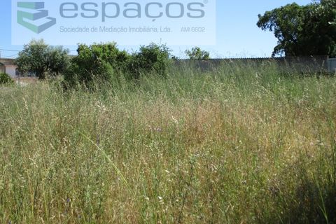 Helårsgrund i Escalos de Cima e Lousa, Castelo Branco, Escalos de Cima e Lousa - € 26.190 | Ref: 5071/RR - foto 4