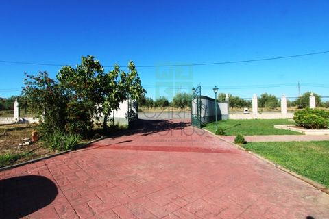 Villa a Campo Maior, Portalegre, Campo Maior - € 445.000 | Ref: CAS_3932 - foto 8