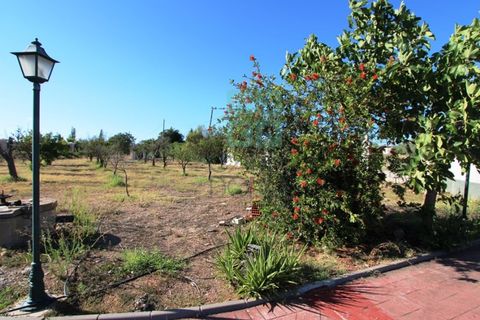 Villa a Campo Maior, Portalegre, Campo Maior - € 445.000 | Ref: CAS_3932 - foto 10