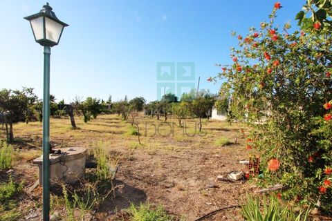 Villa a Campo Maior, Portalegre, Campo Maior - € 445.000 | Ref: CAS_3932 - foto 39