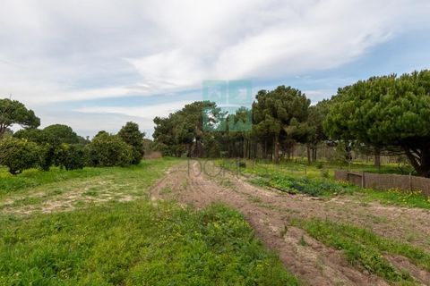 Villa i Sesimbra, Setubal, Sesimbra - € 950.000 | Ref: CAS_3820 - foto 40