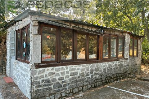 Farm i Teixoso, Castelo Branco, Teixoso - € 84.000 | Ref: 5848/CP - foto 4