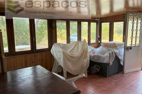 Farm i Teixoso, Castelo Branco, Teixoso - € 84.000 | Ref: 5848/CP - foto 7