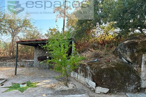 Farm i Teixoso, Castelo Branco, Teixoso - € 84.000 | Ref: 5848/CP - foto 10