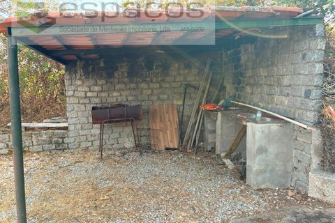 Farm i Teixoso, Castelo Branco, Teixoso - € 84.000 | Ref: 5848/CP - foto 11