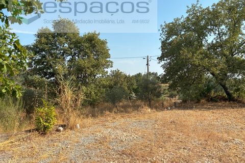 Farm i Teixoso, Castelo Branco, Teixoso - € 84.000 | Ref: 5848/CP - foto 12