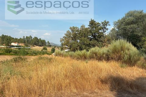 Farm i Teixoso, Castelo Branco, Teixoso - € 84.000 | Ref: 5848/CP - foto 13