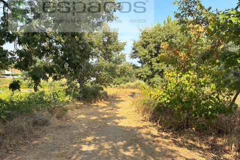 Farm i Teixoso, Castelo Branco, Teixoso - € 84.000 | Ref: 5848/CP - foto 14