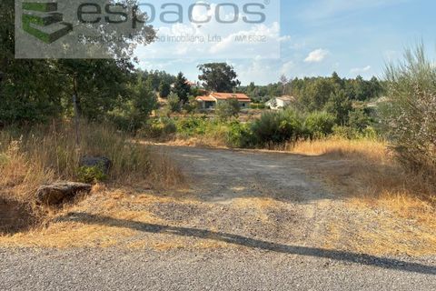Farm i Teixoso, Castelo Branco, Teixoso - € 84.000 | Ref: 5848/CP - foto 15