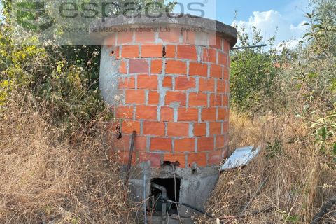Farm i Teixoso, Castelo Branco, Teixoso - € 84.000 | Ref: 5848/CP - foto 16