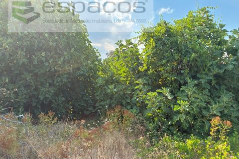Farm i Teixoso, Castelo Branco, Teixoso - € 84.000 | Ref: 5848/CP - foto 23
