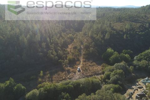 Helårsgrund i Castelo Branco, Castelo Branco, Castelo Branco - € 9.500 | Ref: 4510/EG - foto 3