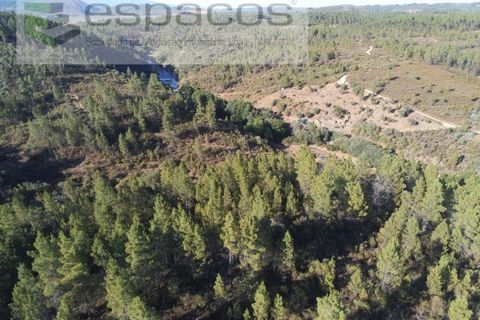 Helårsgrund i Castelo Branco, Castelo Branco, Castelo Branco - € 9.500 | Ref: 4510/EG - foto 6