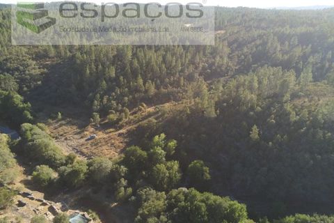 Helårsgrund i Castelo Branco, Castelo Branco, Castelo Branco - € 9.500 | Ref: 4510/EG - foto 10