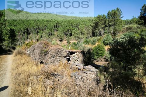Farm i Fundao, Castelo Branco, Fundao - € 22.000 | Ref: 5807/CP - foto 3