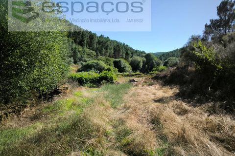 Farm i Fundao, Castelo Branco, Fundao - € 22.000 | Ref: 5807/CP - foto 5