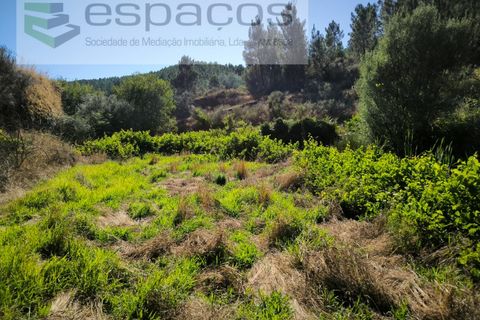 Farm i Fundao, Castelo Branco, Fundao - € 22.000 | Ref: 5807/CP - foto 7