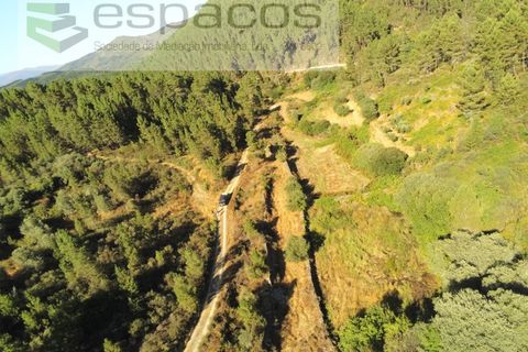 Farm i Fundao, Castelo Branco, Fundao - € 22.000 | Ref: 5807/CP - foto 11