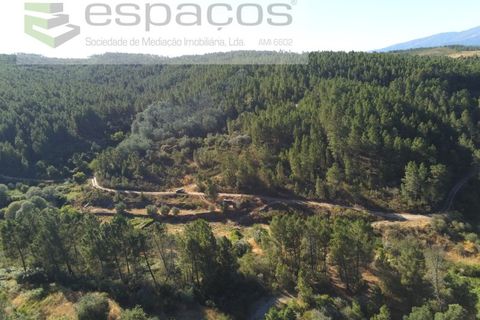 Farm i Fundao, Castelo Branco, Fundao - € 22.000 | Ref: 5807/CP - foto 12